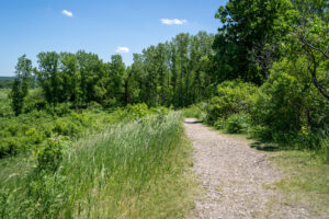 Prairie Grassland View Trail From The Seppmann Mill In Minneopa